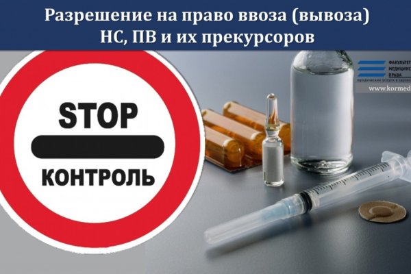 Kraken УЗИ собак