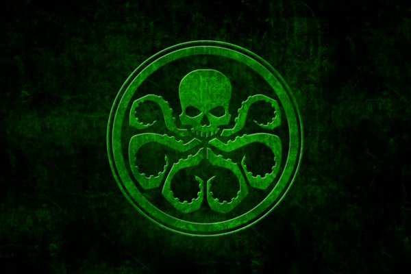 Кракен как попасть ветеринар онлайн