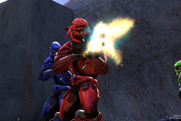 Кракен маркетплейс что там продают здоровье животных