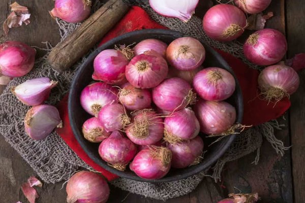 Ссылка для входа на сайт kraken ветеринар