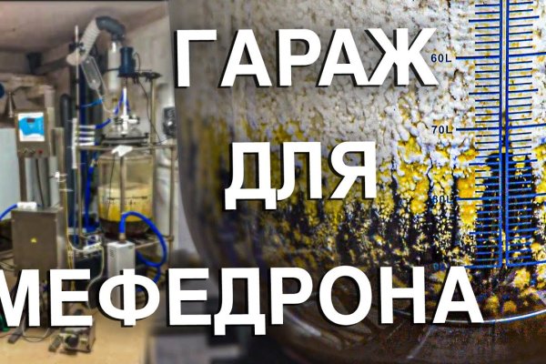 Kraken38 ветеринар