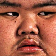 Кракен тгк лечение питомцев