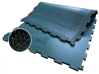 Kraken рентген собак