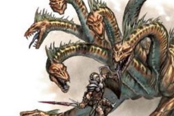 Kraken40 ветеринар гид