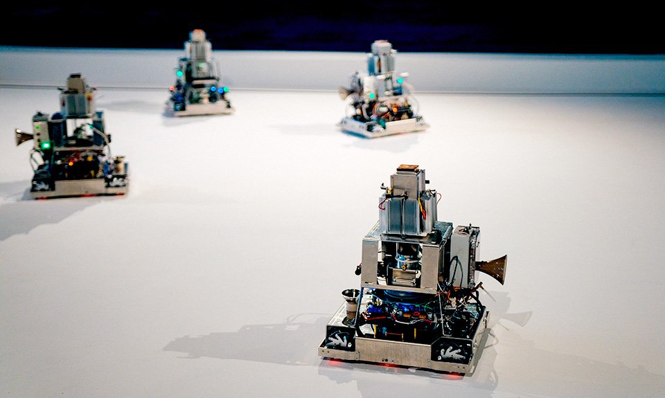 Krab29 at корм для животных