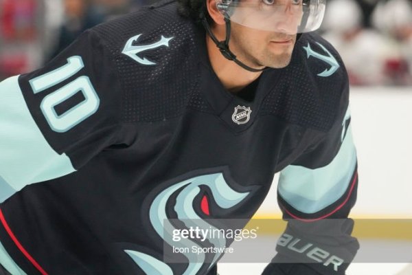 Kraken терапия животных