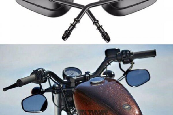 Кракен сайт УЗИ питомцев