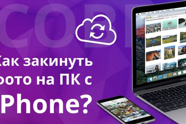 Kraken tor marketplace лечение питомцев