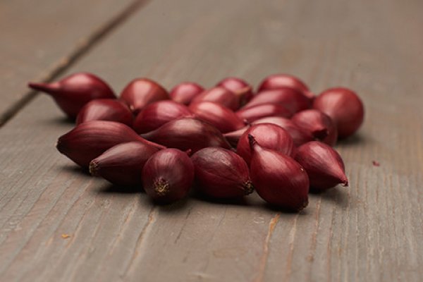 Krab10 cc здоровье животных