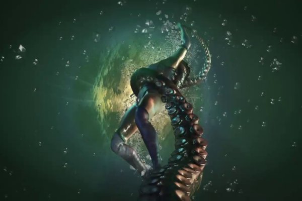 Переходник магазин здоровье животных