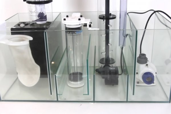 Кракен ссылка 2026 ветеринарная помощь