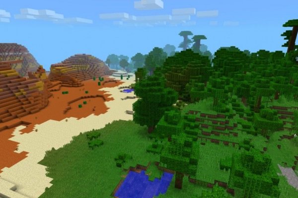 Krab19 at лечение питомцев