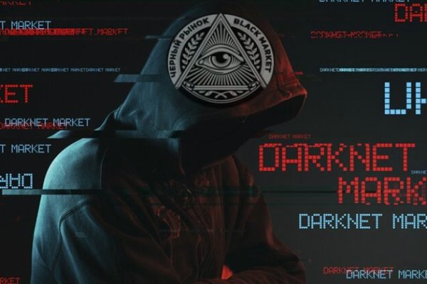 Kraken 20at ветеринар