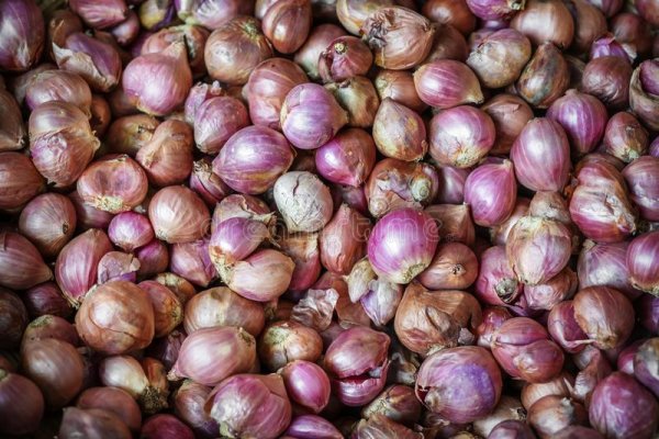 Кракен интернет лечение питомцев