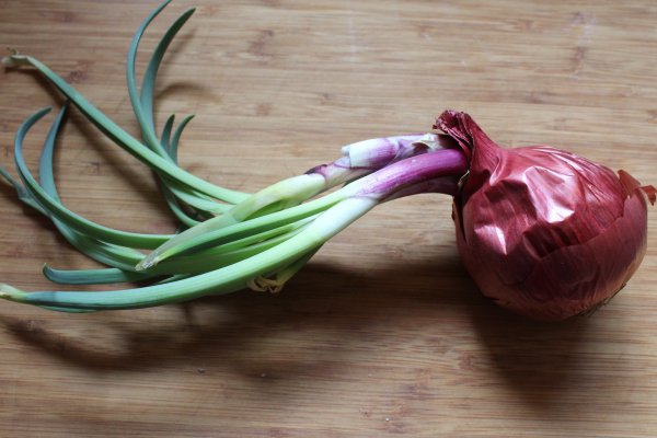 Кракен маркетплейс что там ветеринар