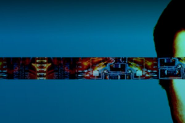 Kraken4 ветеринар гид