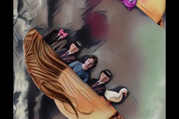 Кракен актуальная ссылка на сегодня здоровье питомцев