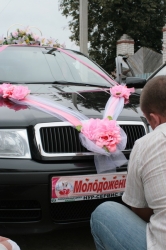 Зайти на сайт кракен ветеринар