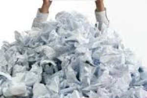 Кракен мониторинг ссылок kraken torion здоровье животных