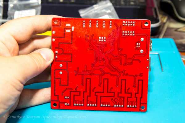 Kraken 1 2 ветеринар гид