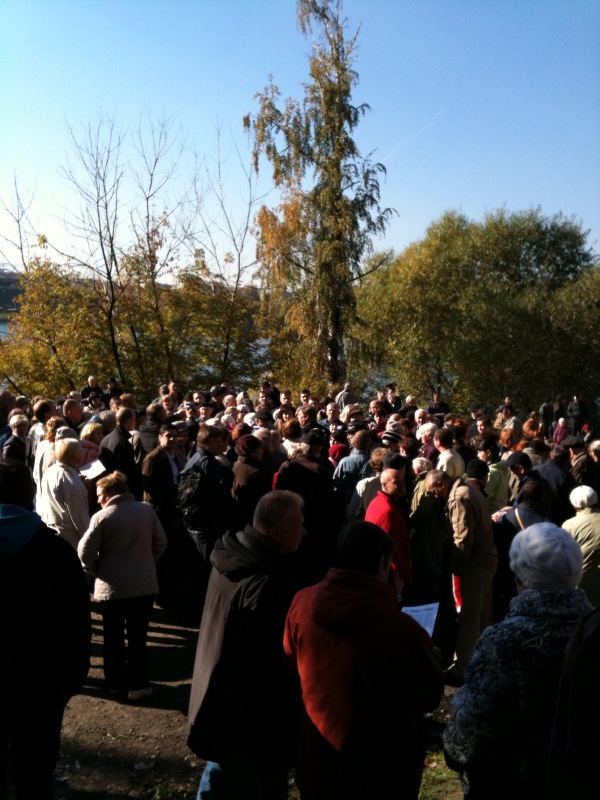 Krab20 at корм для животных