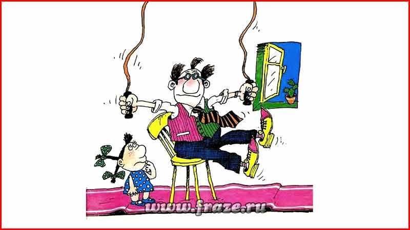 Krab26 at вызов ветеринара