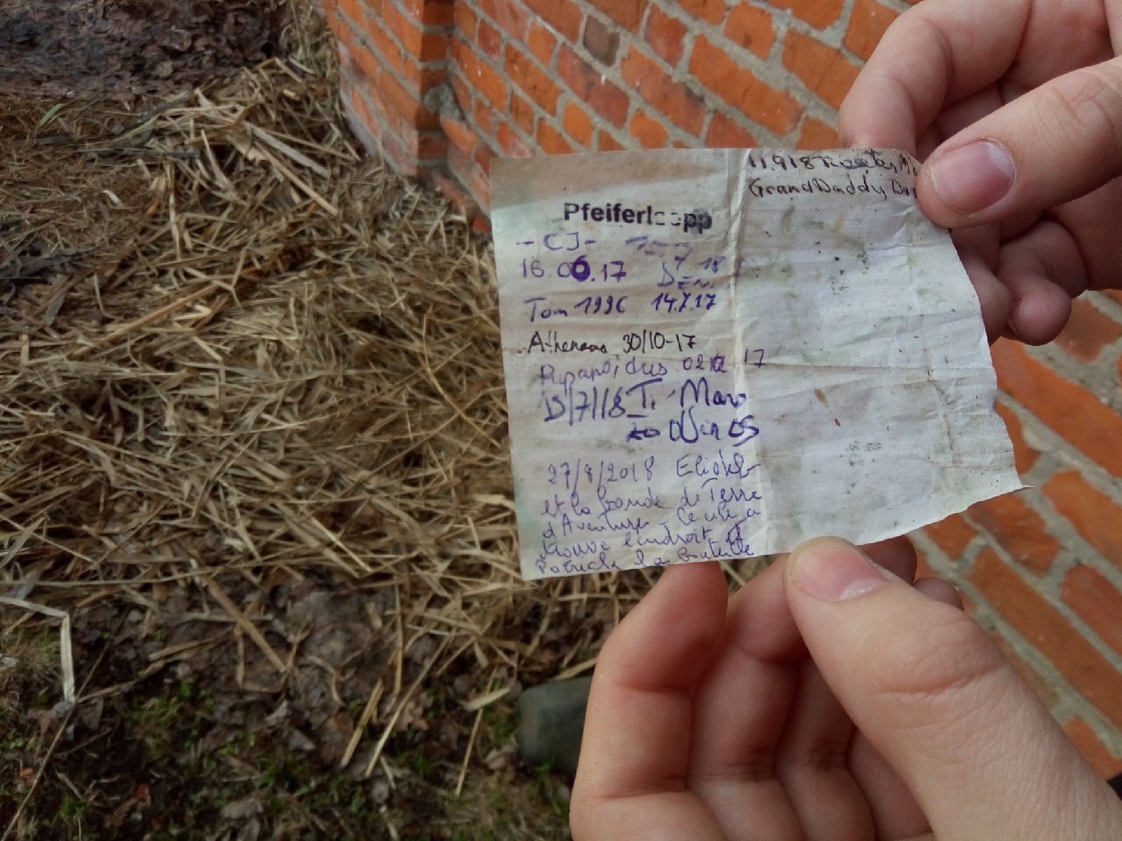 Krab40 cc консультация ветеринара