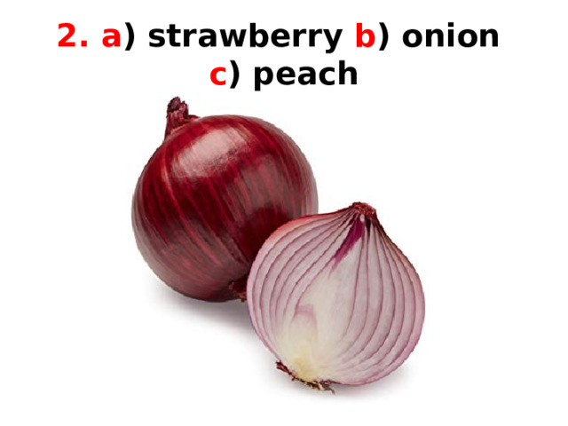 Kraken ссылка kraken clear com ветеринар гид