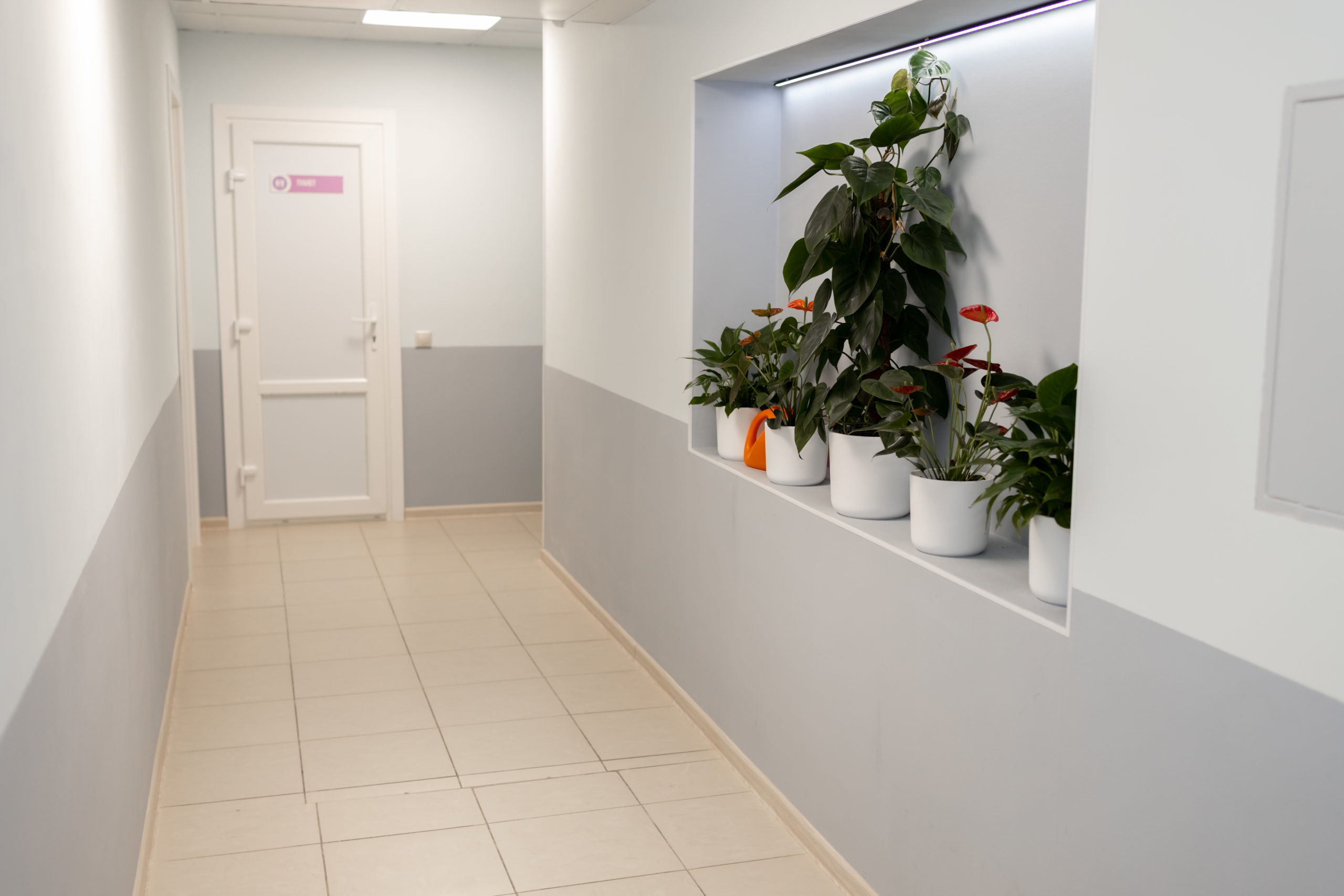 Сайт кракен зайти ветклиника