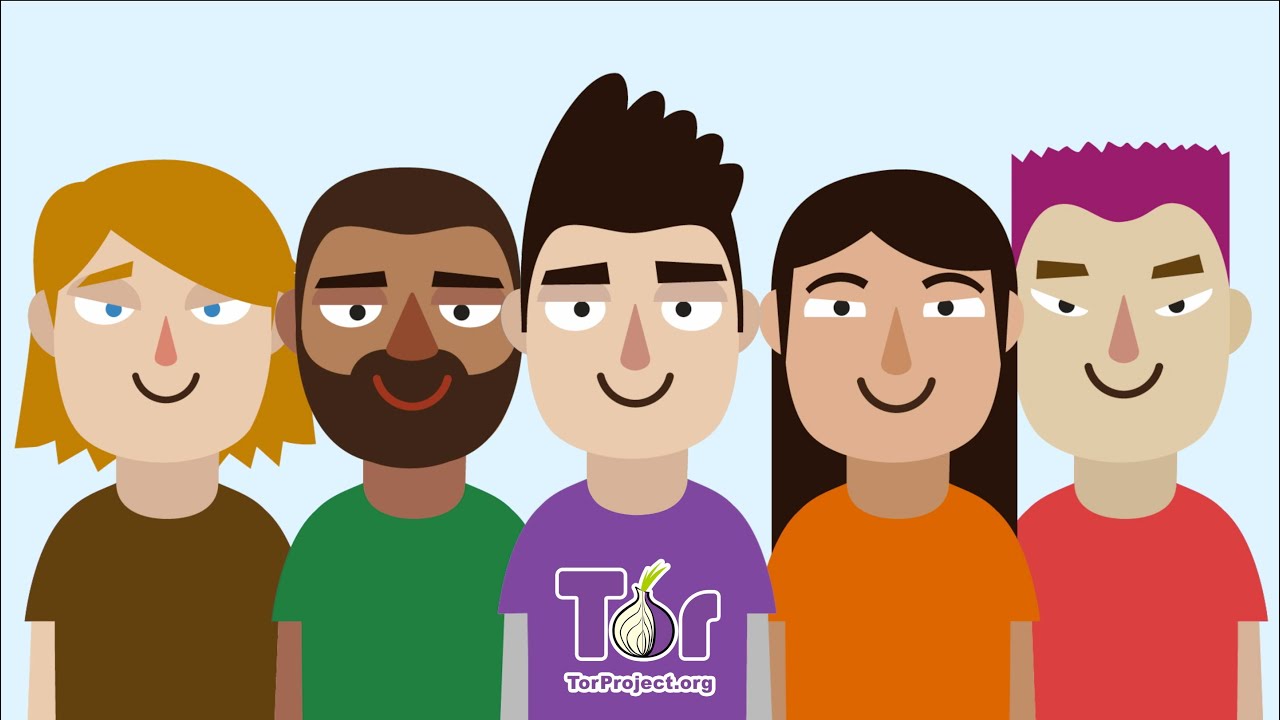 Кракен марке ветеринар гид