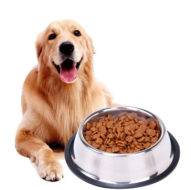 Причины отказа от еды у собаки